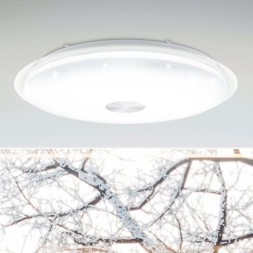 Eglo - Стельовий LED світильник з регулюванням яскравості LED/36W/230V + ДК