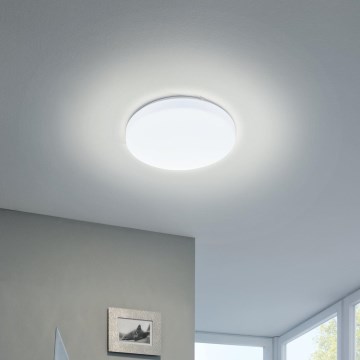 Eglo - Світлодіодний стельовий світильник LED/11,5W/230V