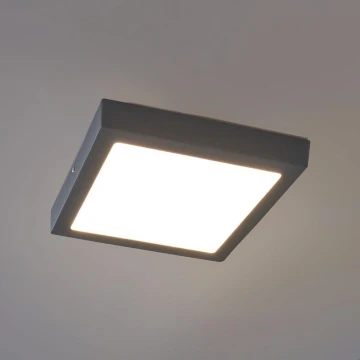 Eglo - Вуличний світлодіодний стельовий світильник LED/22W IP44