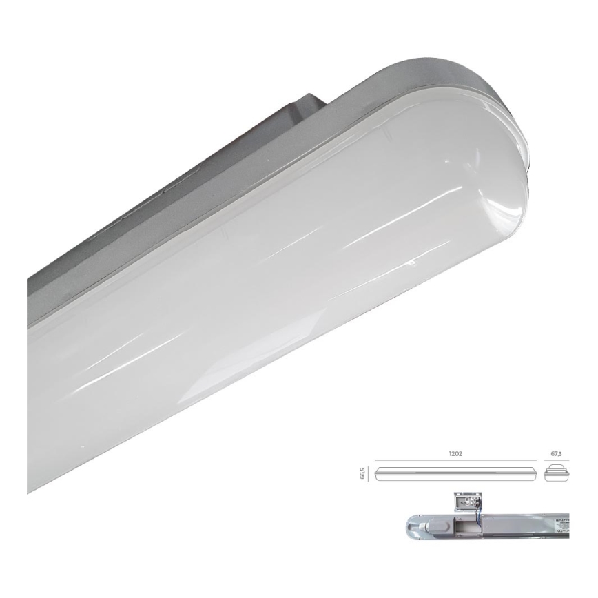 Emithor 31602 - Світлодіодний технічний світильник ELMINA LED/36W/230V IP65