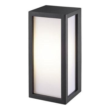 Gardino LX5705-LED - Вуличний світлодіодний настінний світильник BETULLA LED/18W/230V IP54