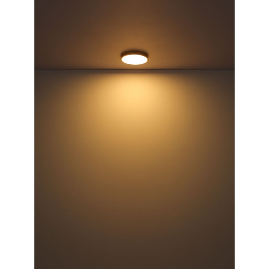 Globo - Светодиодный потолочный светильник LED/30W/230V диаметр 45 см
