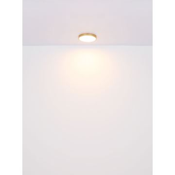 Globo - Светодиодный потолочный светильник LED/30W/230V диаметр 45 см
