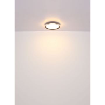 Globo - Светодиодный потолочный светильник LED/30W/230V диаметр 30 см
