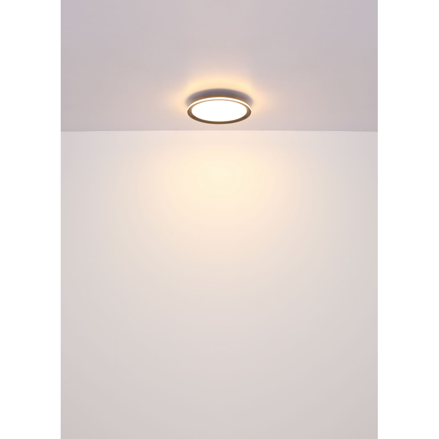 Globo - Светодиодный потолочный светильник LED/30W/230V диаметр 30 см