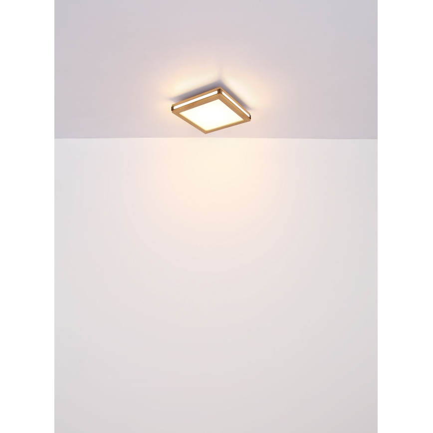 Globo - Светодиодный потолочный светильник LED/12W/230V 30x30 см