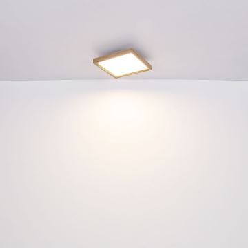 Globo - Стельовий LED світильник LED/12W/230V 2700/4500/6500K 30x30 см