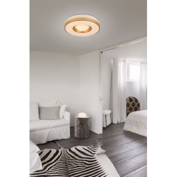 Globo - Стельовий LED світильник LED/24W/230V