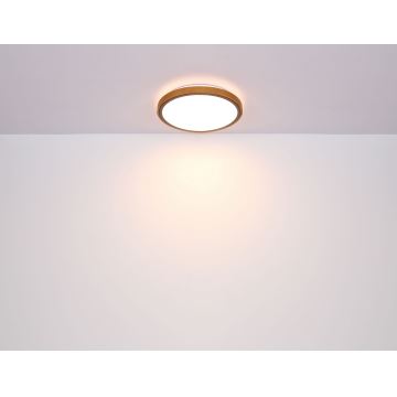 Globo - Стельовий LED світильник LED/12W/230V 3000/4500/6000K діаметр 30 см