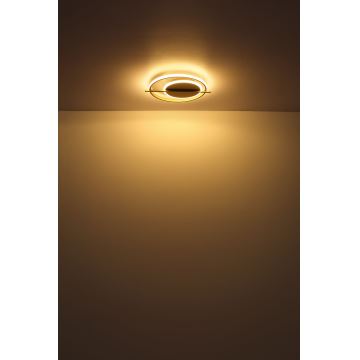 Globo - Светодиодный потолочный светильник LED/36W/230V