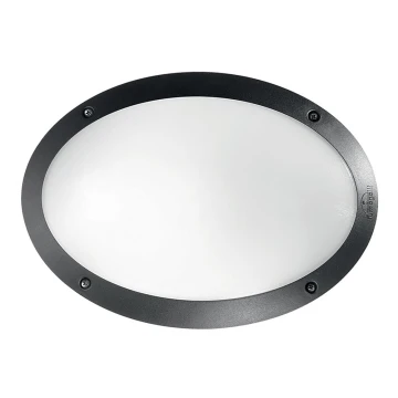 Ideal Lux - Технический светильник 1xE27/23W/230V IP66 черный