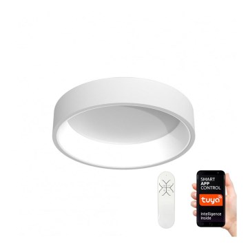 Immax NEO 07016L - Светодиодный потолочный светильник с регулированием яркости AGUJERO LED/30W/230V Tuya + дистанционное управление