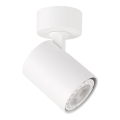 ITALUX - Точковий світильник LUMSI 1xGU10/35W/230V білий