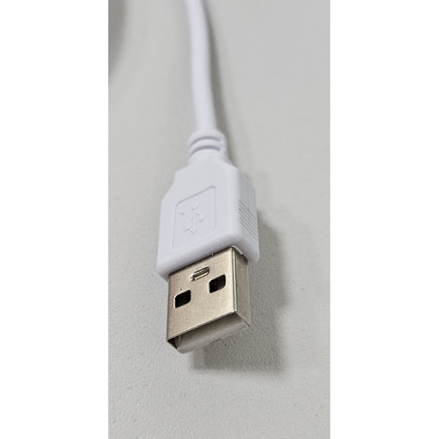 LED Гнучка стрічка NEON LED/5V USB 1,8 м білий