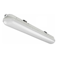 LED Промисловий світильник LED/33W/230V 4000K IP65