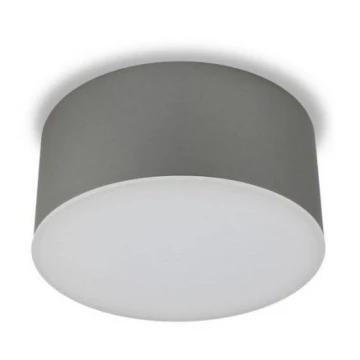 LED2 - Светодиодный потолочный светильник BUTTON LED/17W/230V серебряный