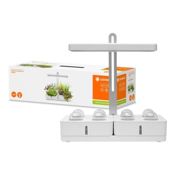 Ledvance - Светодиодная лампа для растений GARDEN KIT LED/24W/230V