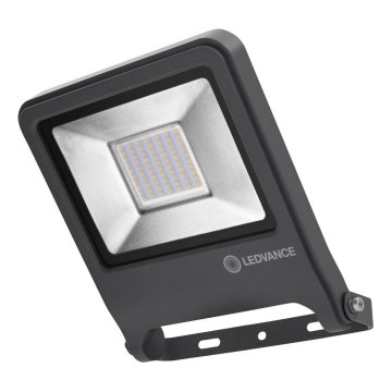 Ledvance - Светодиодный прожектор ENDURA LED/50W/230V IP65