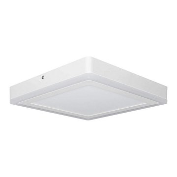 Ledvance - Светодиодный потолочный светильник SQUARE LED/18W/230V