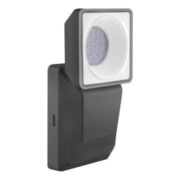 Ledvance - Светодиодный уличный настенный светильник с датчиком  SPOT LED/8W/230V IP55 черный