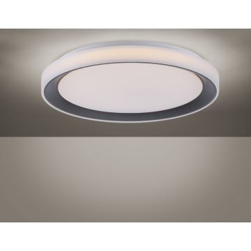 Leuchten Direkt 14659-18 - LED RGB Димерний стельовий світильник LOLA LED/24W/230V Tuya + дистанційне управління