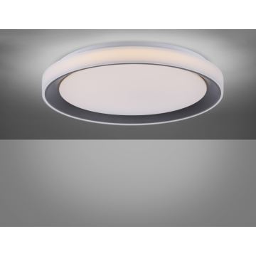Leuchten Direkt 14659-18 - LED RGB Димерний стельовий світильник LOLA LED/24W/230V Tuya + дистанційне управління