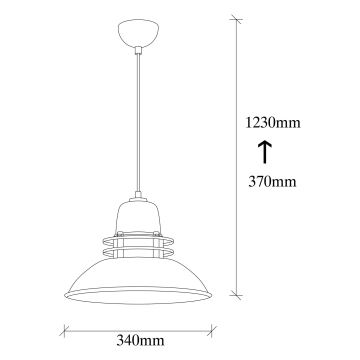 Люстра на тросе BERCESTE 1xE27/40W/230V