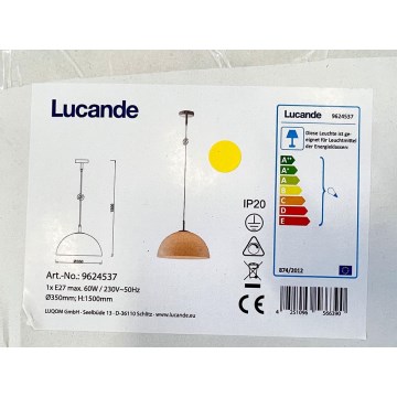 Lucande - Підвісна люстра LOURENCO 1xE27/60W/230V