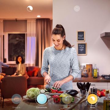 НАБІР 2x Світлодіодна лампочка з регульованою яскравістю Philips Hue WHITE E27/9W/230V 2700K