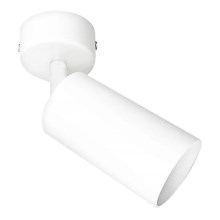 Настенный точечный светильник ANGIE 1xGU10/35W/230V белая