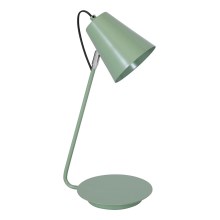 Настольная лампа TABLE LAMPS 1xE27/60W/230V