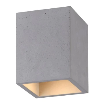 Paul Neuhaus 6161-22 - Точковий світильник ETON 1xGU10/10W/230V бетон