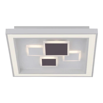 Paul Neuhaus 6283-16 - Светодиодный потолочный светильник с регулированием яркости ELIZA LED/30W/230V + LED/18,5W
