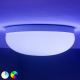 Philips - Стельовий RGBW-світильник з регулюванням яскравості Hue FLOURISH White And Color Ambiance LED/32W/230V