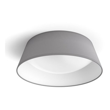 Philips - Светодиодный потолочный светильник DAWN LED/14W/230V серый