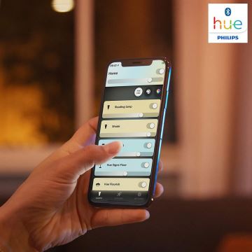 Philips - Світлодіодний світильник для ванної з регулюванням яскравості Hue STRUANA LED/27W/230V IP44
