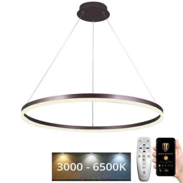 Підвісна LED люстра з регулюванням яскравості LED/55W/230V 3000-6500K + пульт дистанційного керування