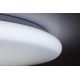 Rabalux - Стельовий LED світильник з регулюванням яскравості LED/60W/230V + пульт дистанційного керування