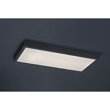 Rabalux - Світлодіодна пристельова панель LED/24W/230V 4000K 60x30 см