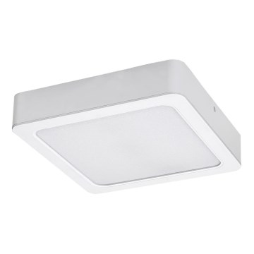 Rabalux - Светодиодный потолочный светильник LED/7W/230V 4000K 12x12 см белый