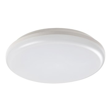 Rabalux - Светодиодный уличный потолочный светильник LED/24W/230V IP64