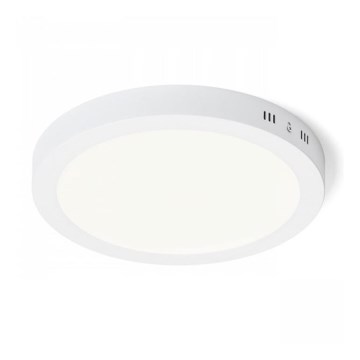 RED - Design Rendl - R12973 - Стельовий LED світильник SOCORRO LED/24W/230V