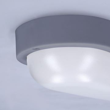 Вуличний світлодіодний настінний світильник LED/13W/230V 4000K IP54 сірий овальний