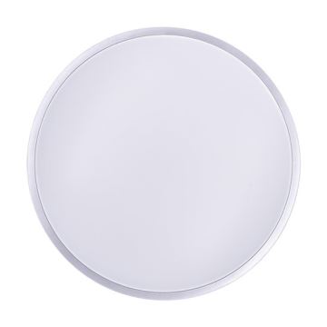 LED Димерний стельовий світильник SILVER LED/24W/230V + ДК