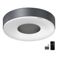 Steinel 078775 - Светодиодный потолочный светильник RS 200 C LED/17,1W/230V 3000K IP54