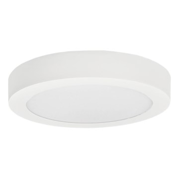 Стельовий LED світильник FENIX LED/12W/230V 3800K діаметр 17 см сніжно-білий