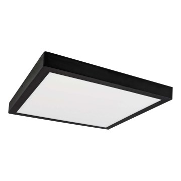 Стельовий LED світильник FENIX LED/24W/230V 3800K