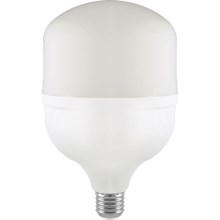 Светодиодная лампочка E40 E27/40W/230V 6500K