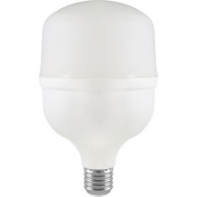 Светодиодная лампочка T100 E27/30W/230V 6500K
