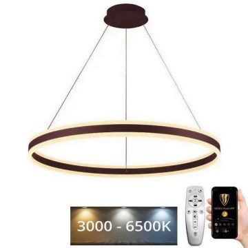 Светодиодная подвесная люстра с регулированием яркости LED/110W/230V 3000-6500K + дистанционное управление